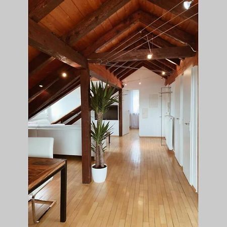 *Dreilaendereck* Wifi+ Balkon+Garage Basel Mulhouse Διαμέρισμα Maulburg Εξωτερικό φωτογραφία