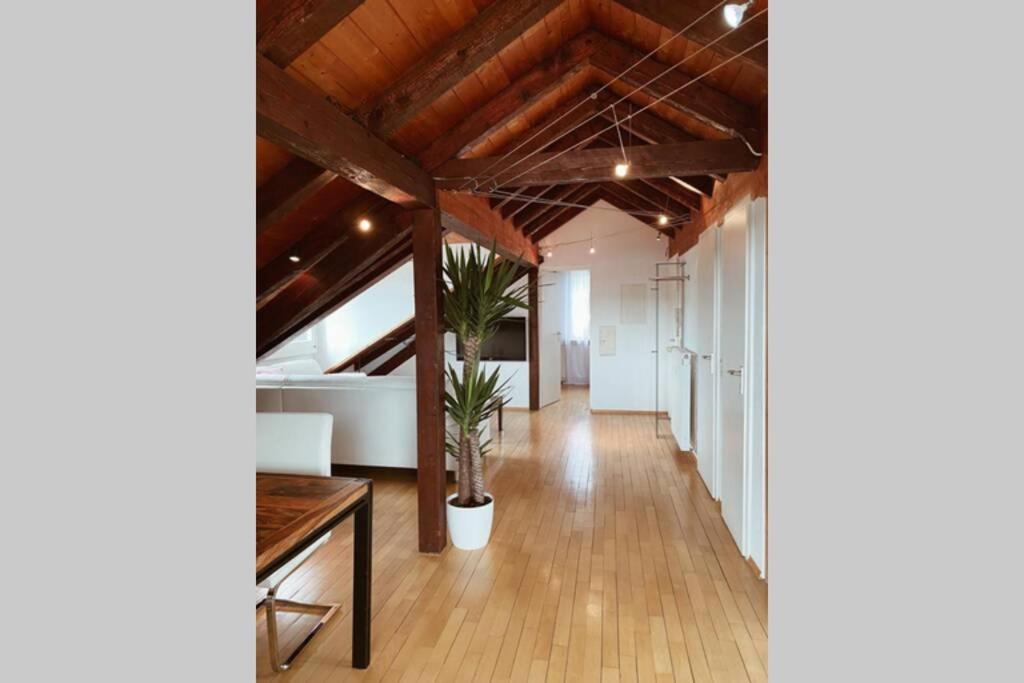 *Dreilaendereck* Wifi+ Balkon+Garage Basel Mulhouse Διαμέρισμα Maulburg Εξωτερικό φωτογραφία