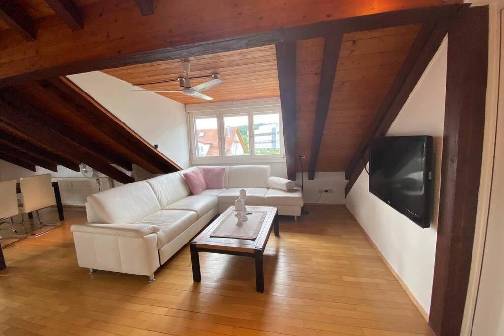 *Dreilaendereck* Wifi+ Balkon+Garage Basel Mulhouse Διαμέρισμα Maulburg Εξωτερικό φωτογραφία